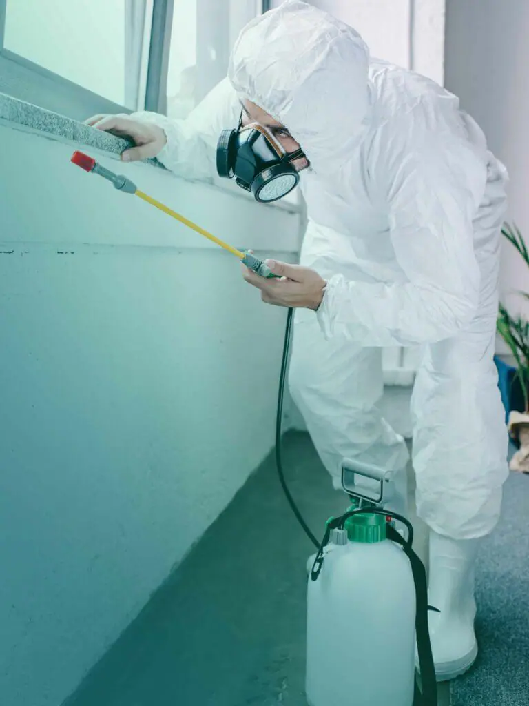 Book Pest Control in Dubai