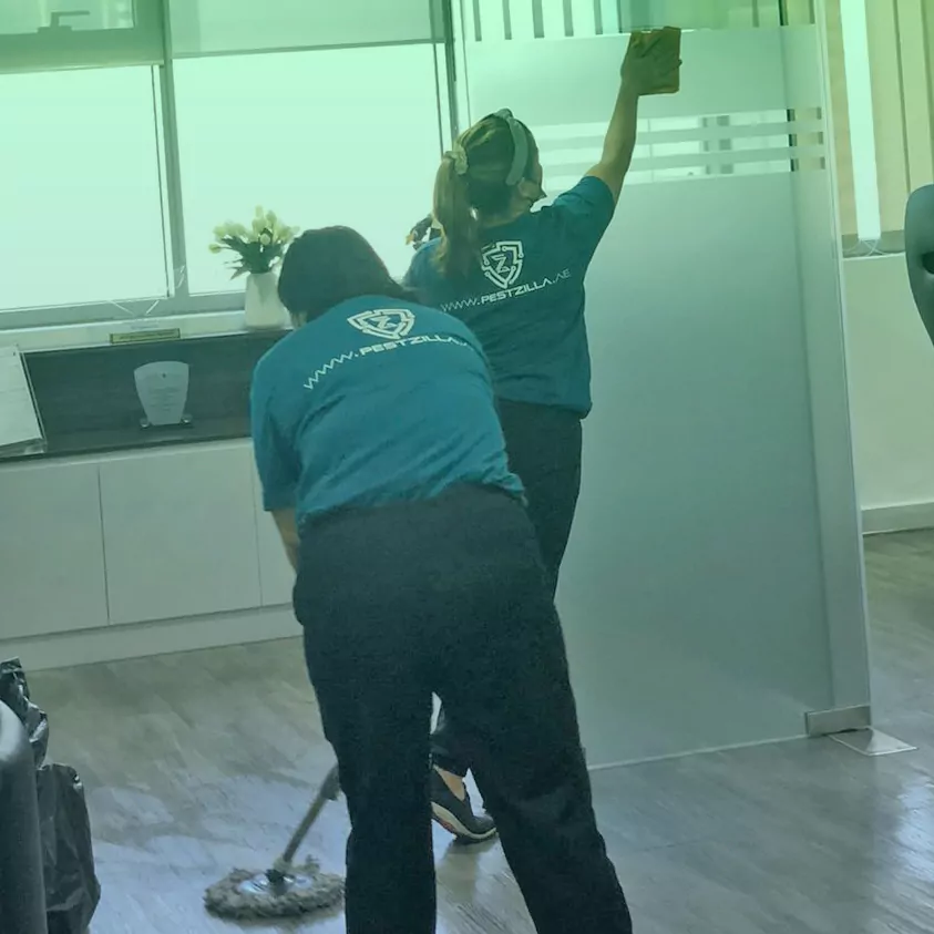 GeneralCleaning3